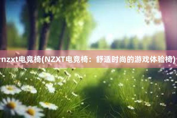 nzxt电竞椅(NZXT电竞椅：舒适时尚的游戏体验椅)