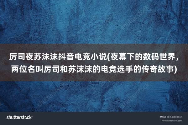 厉司夜苏沫沫抖音电竞小说(夜幕下的数码世界，两位名叫厉司和苏沫沫的电竞选手的传奇故事)