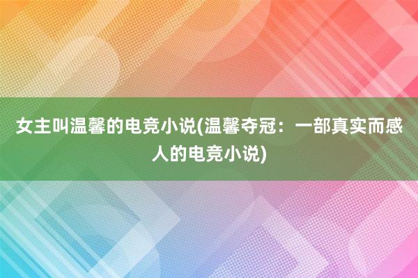 女主叫温馨的电竞小说(温馨夺冠：一部真实而感人的电竞小说)