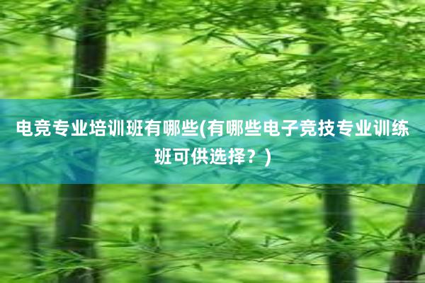 电竞专业培训班有哪些(有哪些电子竞技专业训练班可供选择？)