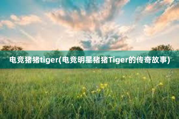 电竞猪猪tiger(电竞明星猪猪Tiger的传奇故事)