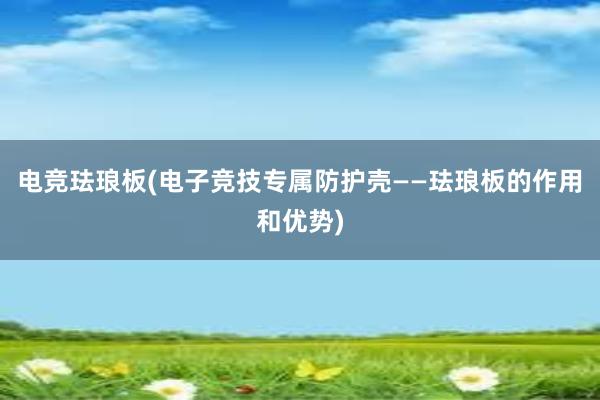 电竞珐琅板(电子竞技专属防护壳——珐琅板的作用和优势)