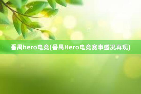 番禺hero电竞(番禺Hero电竞赛事盛况再现)