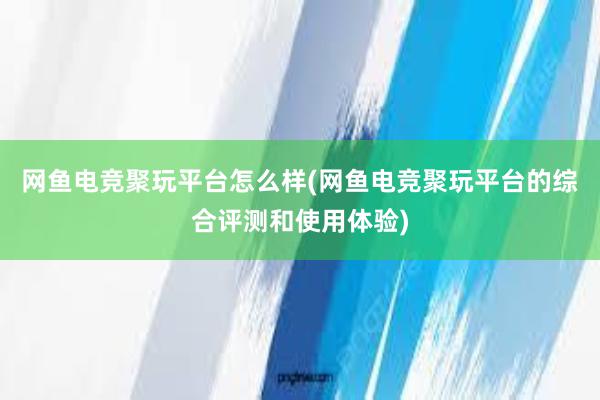 网鱼电竞聚玩平台怎么样(网鱼电竞聚玩平台的综合评测和使用体验)