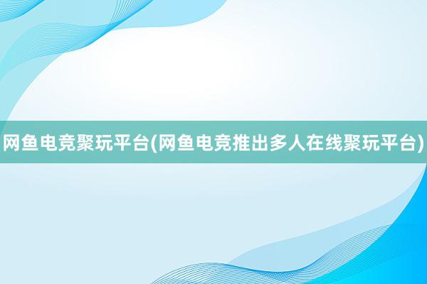 网鱼电竞聚玩平台(网鱼电竞推出多人在线聚玩平台)