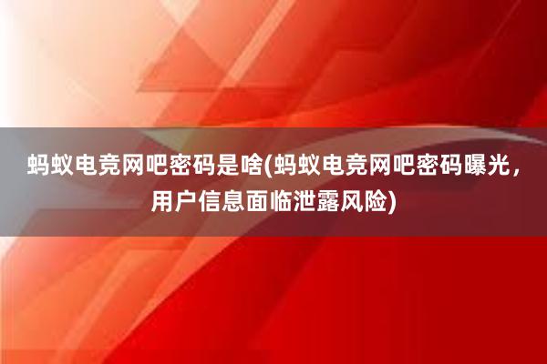 蚂蚁电竞网吧密码是啥(蚂蚁电竞网吧密码曝光，用户信息面临泄露风险)