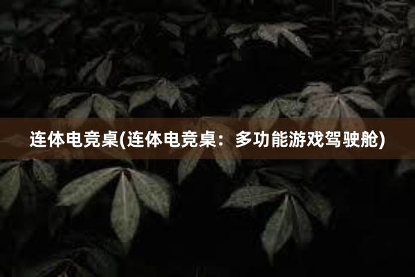 连体电竞桌(连体电竞桌：多功能游戏驾驶舱)