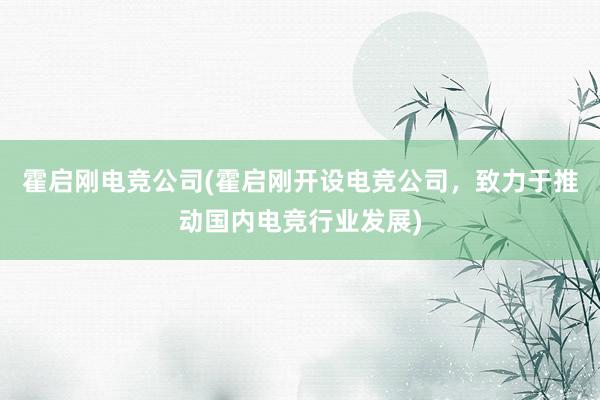 霍启刚电竞公司(霍启刚开设电竞公司，致力于推动国内电竞行业发展)