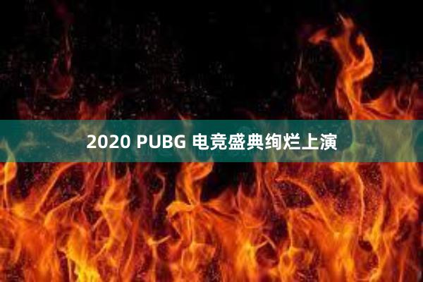 2020 PUBG 电竞盛典绚烂上演