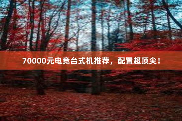 70000元电竞台式机推荐，配置超顶尖！