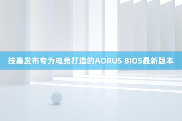 技嘉发布专为电竞打造的AORUS BIOS最新版本