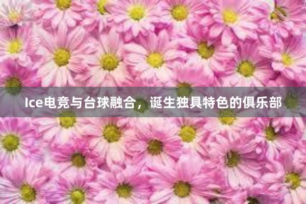 Ice电竞与台球融合，诞生独具特色的俱乐部