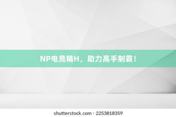 NP电竞精H，助力高手制霸！