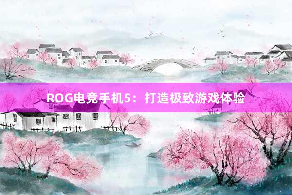 ROG电竞手机5：打造极致游戏体验