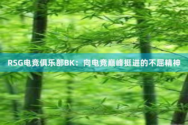 RSG电竞俱乐部BK：向电竞巅峰挺进的不屈精神