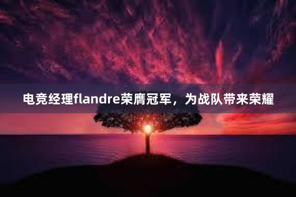 电竞经理flandre荣膺冠军，为战队带来荣耀