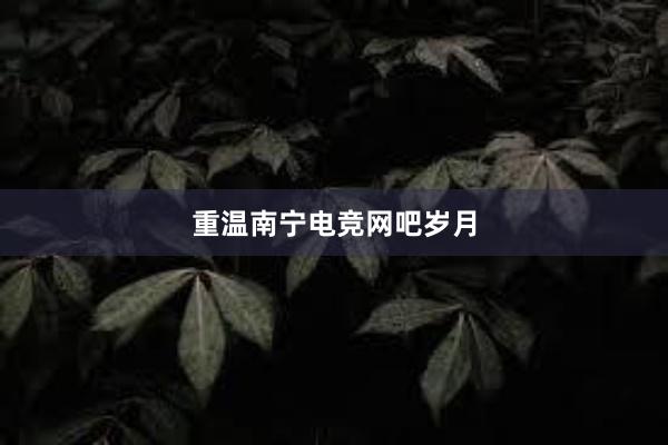 重温南宁电竞网吧岁月