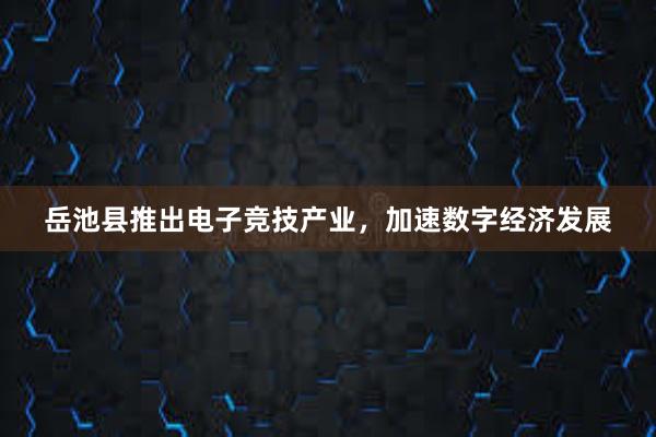 岳池县推出电子竞技产业，加速数字经济发展