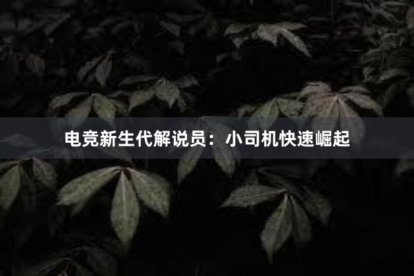 电竞新生代解说员：小司机快速崛起