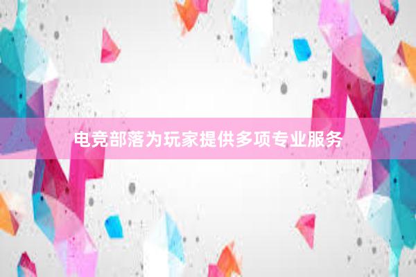 电竞部落为玩家提供多项专业服务